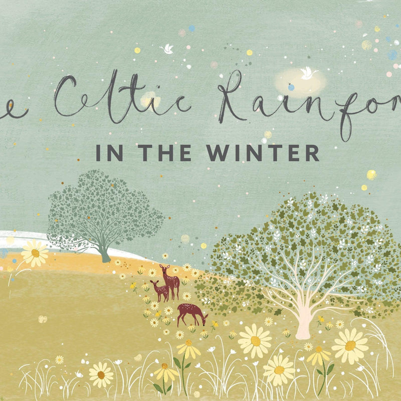 Celtic Rainforest in Winter: Step Into the Magic - Whistlefish
