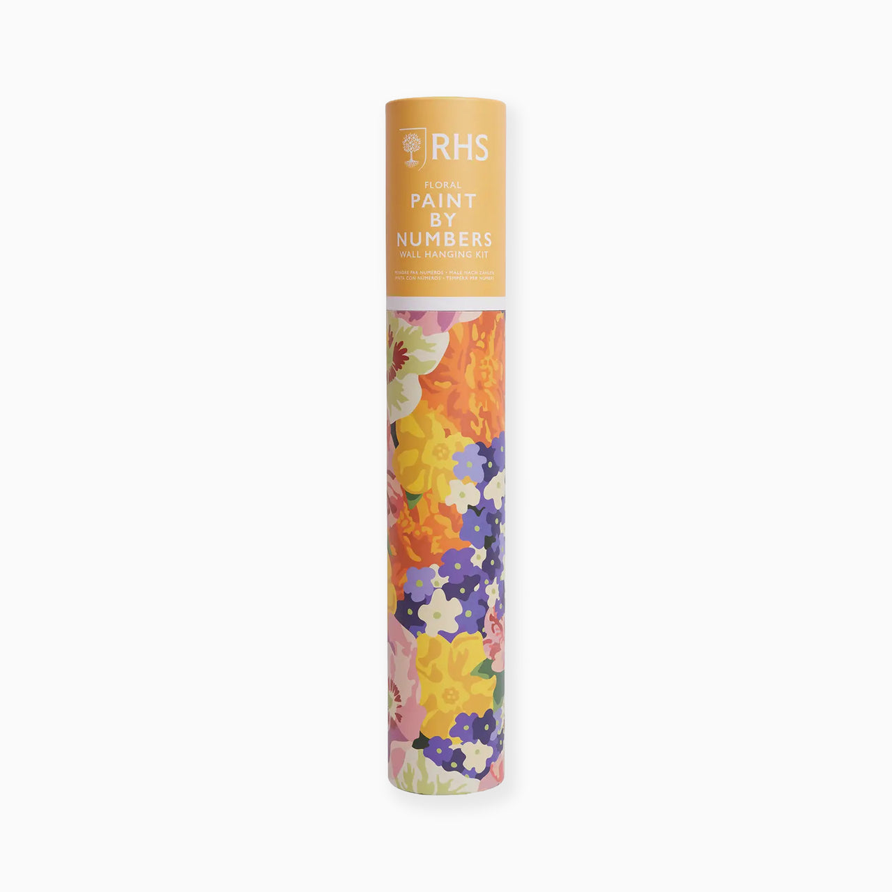 RHS550101 - RHS Paint By Numbers Wall Hanging Kit