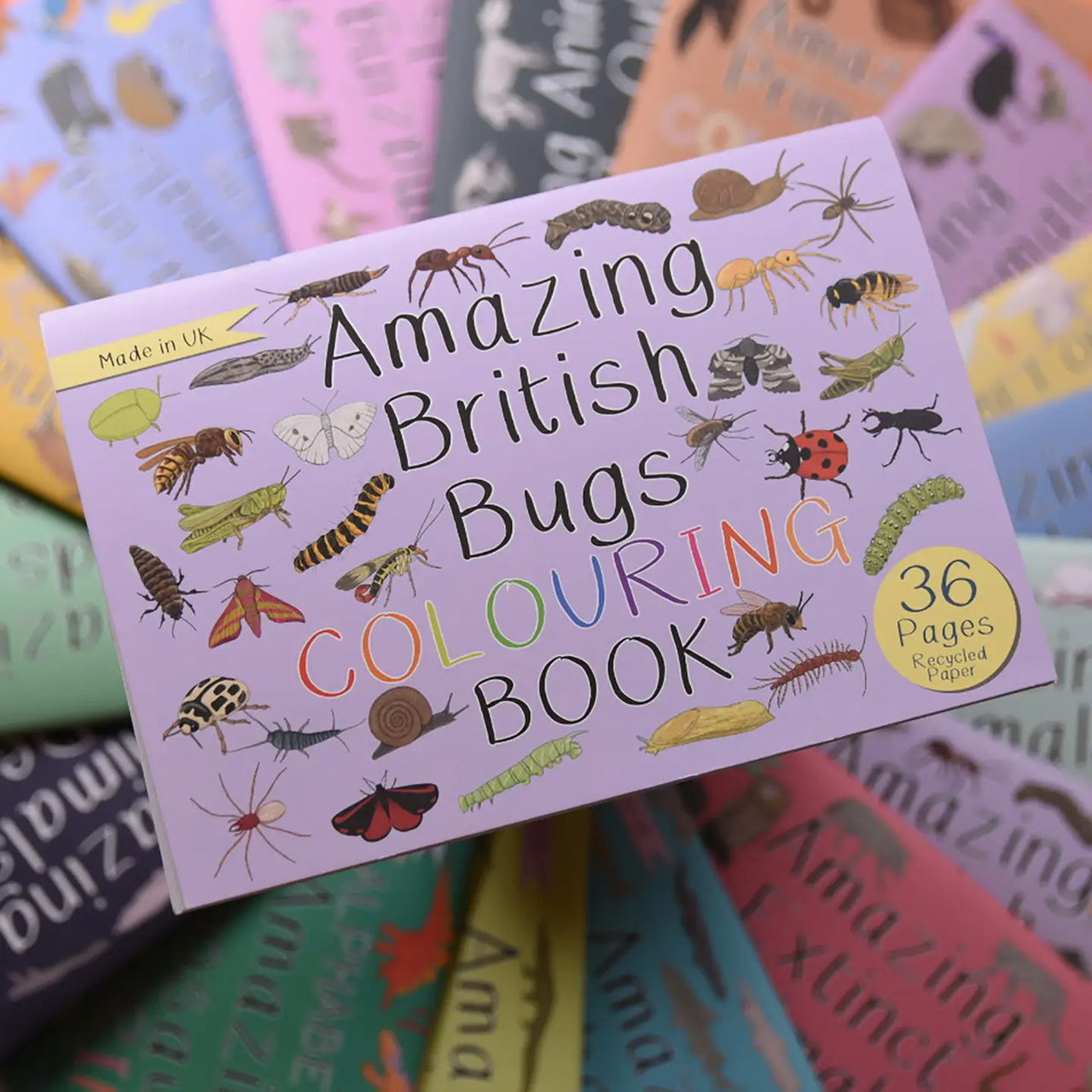 Colouring Book-ABBCB - Amazing British Bugs Colouring Book-Button & Squirt