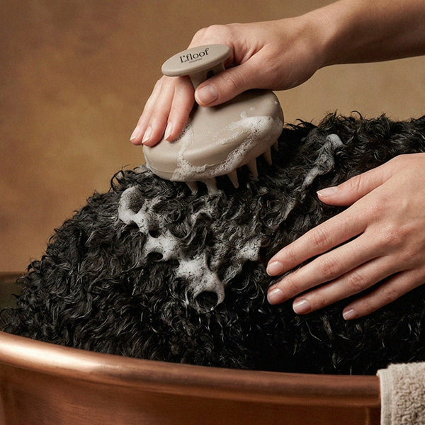 LFMASS - Shampoo Massaging Brush for Dogs