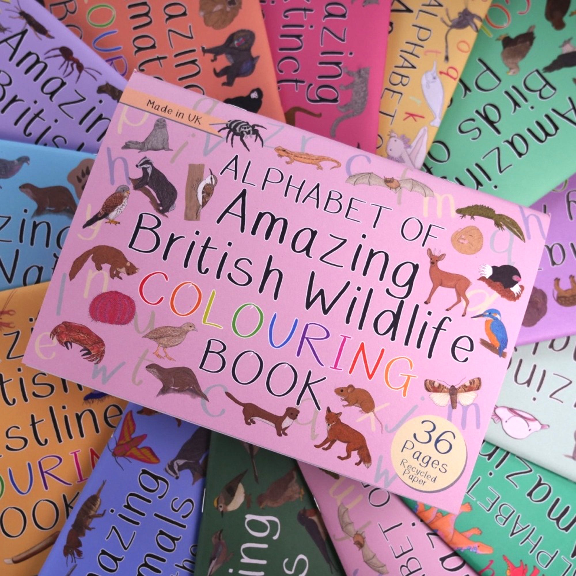 Colouring Book-AABWCB - British Wildlife Alphabet Colouring Book-Button & Squirt