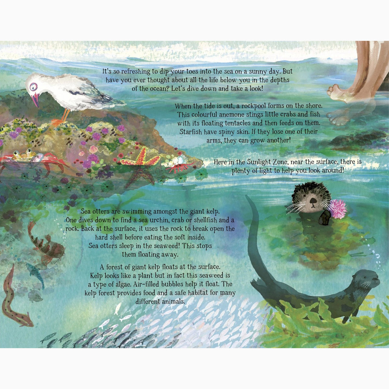 Book-9780711271944 - The Sea Below My Toes-The Quarto Group