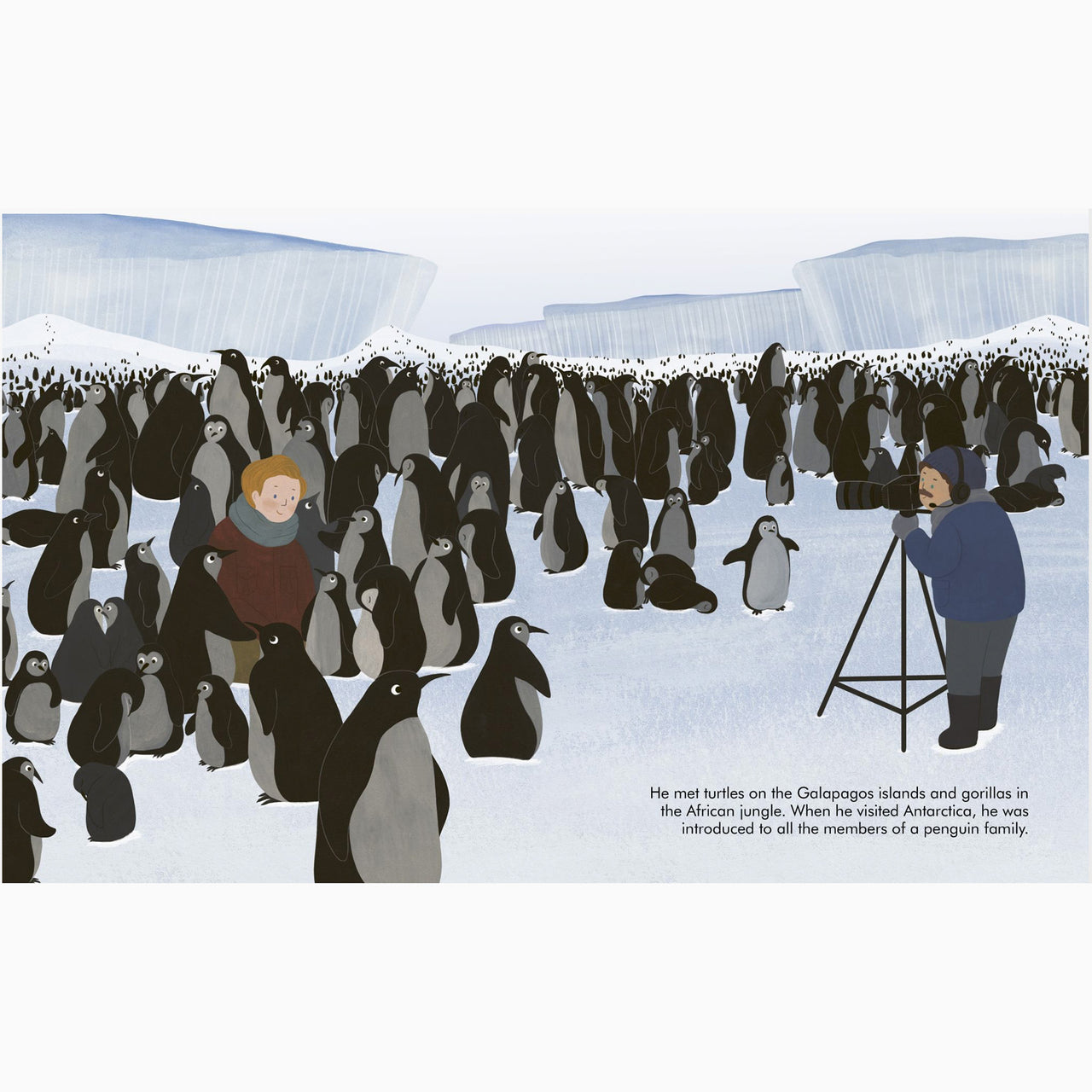 Book-9780711245631 - LP,BD: David Attenborough-The Quarto Group