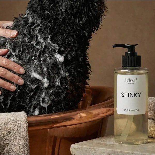 STINKY - STINKY Natural Dog Shampoo