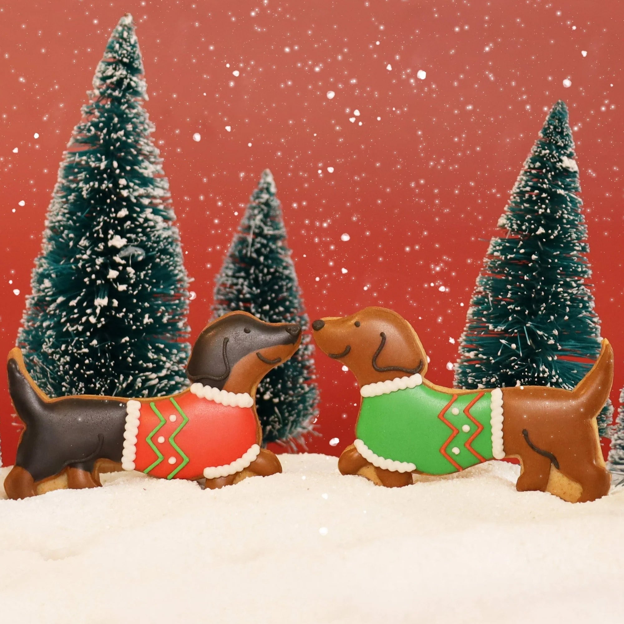 CASQCLXMASDACHSHUND - Hand Iced Christmas Sausages Letterbox Biscuits