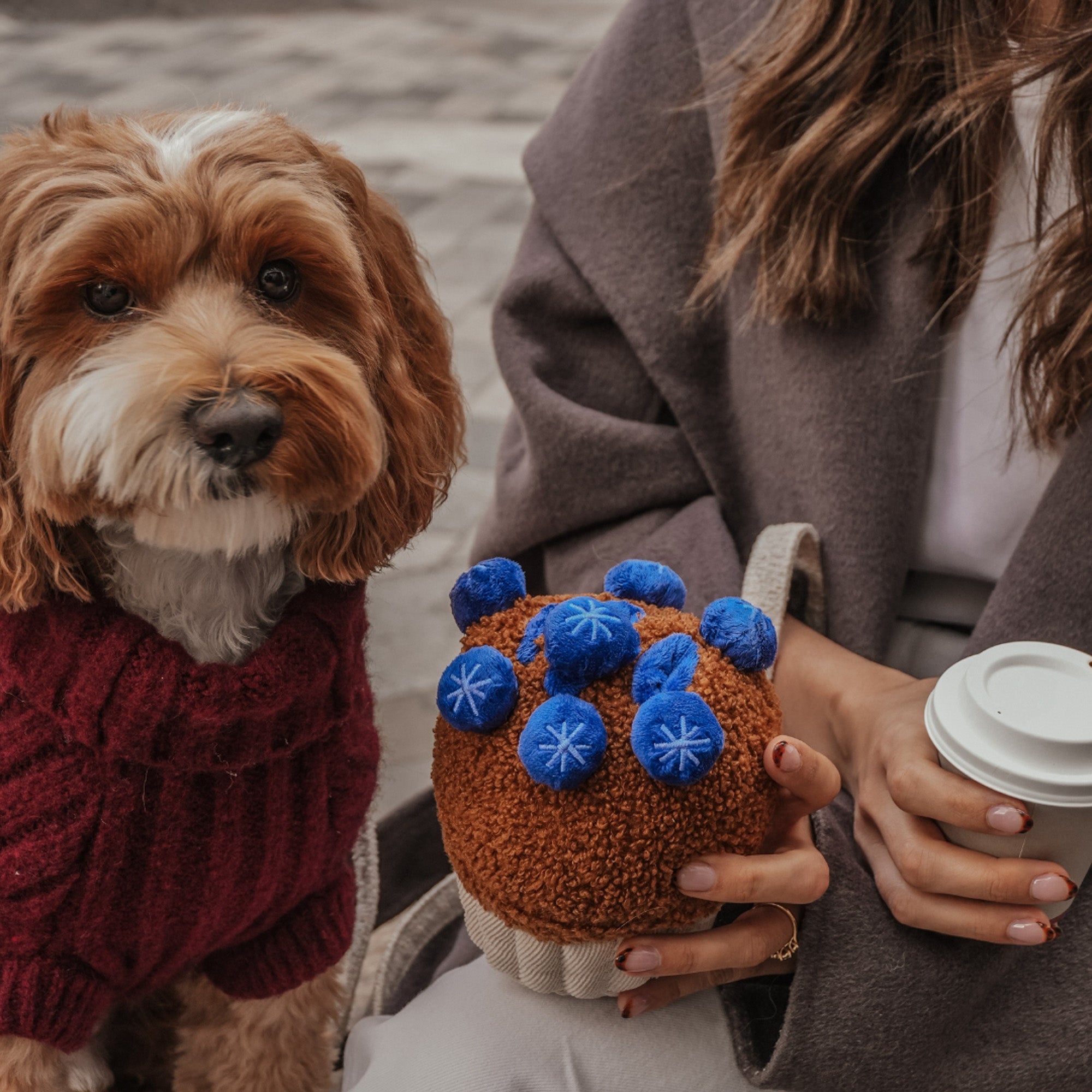 BMTOYL - Blueberry Muffin Dog Toy