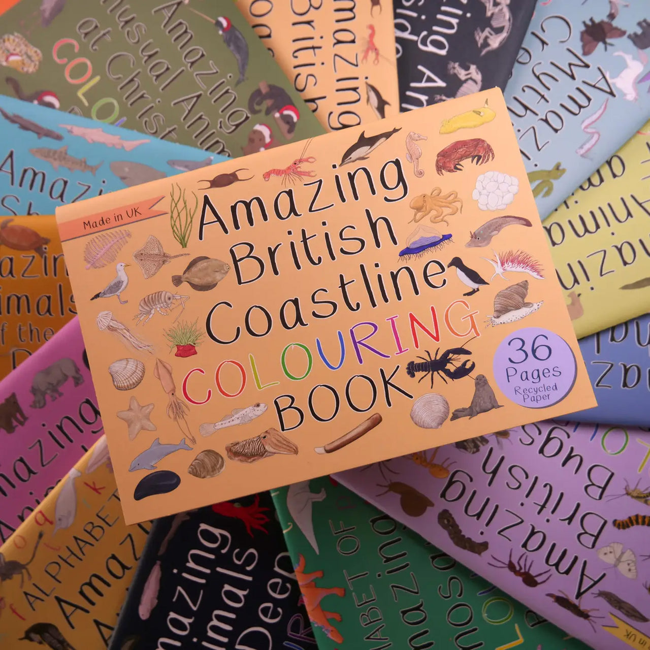 Colouring Book-Abccb - Amazing British Coastline Colouring Book-Button & Squirt