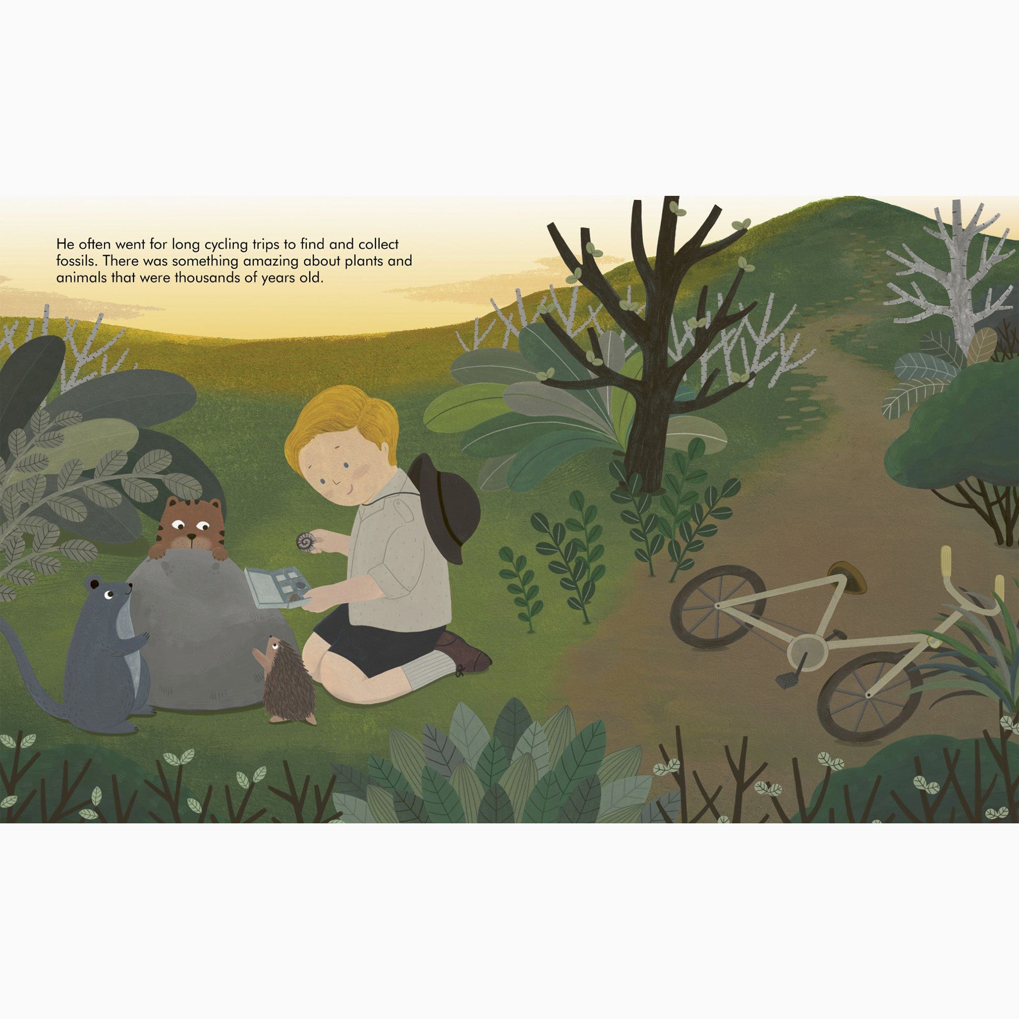 Book-9780711245631 - LP,BD: David Attenborough-The Quarto Group