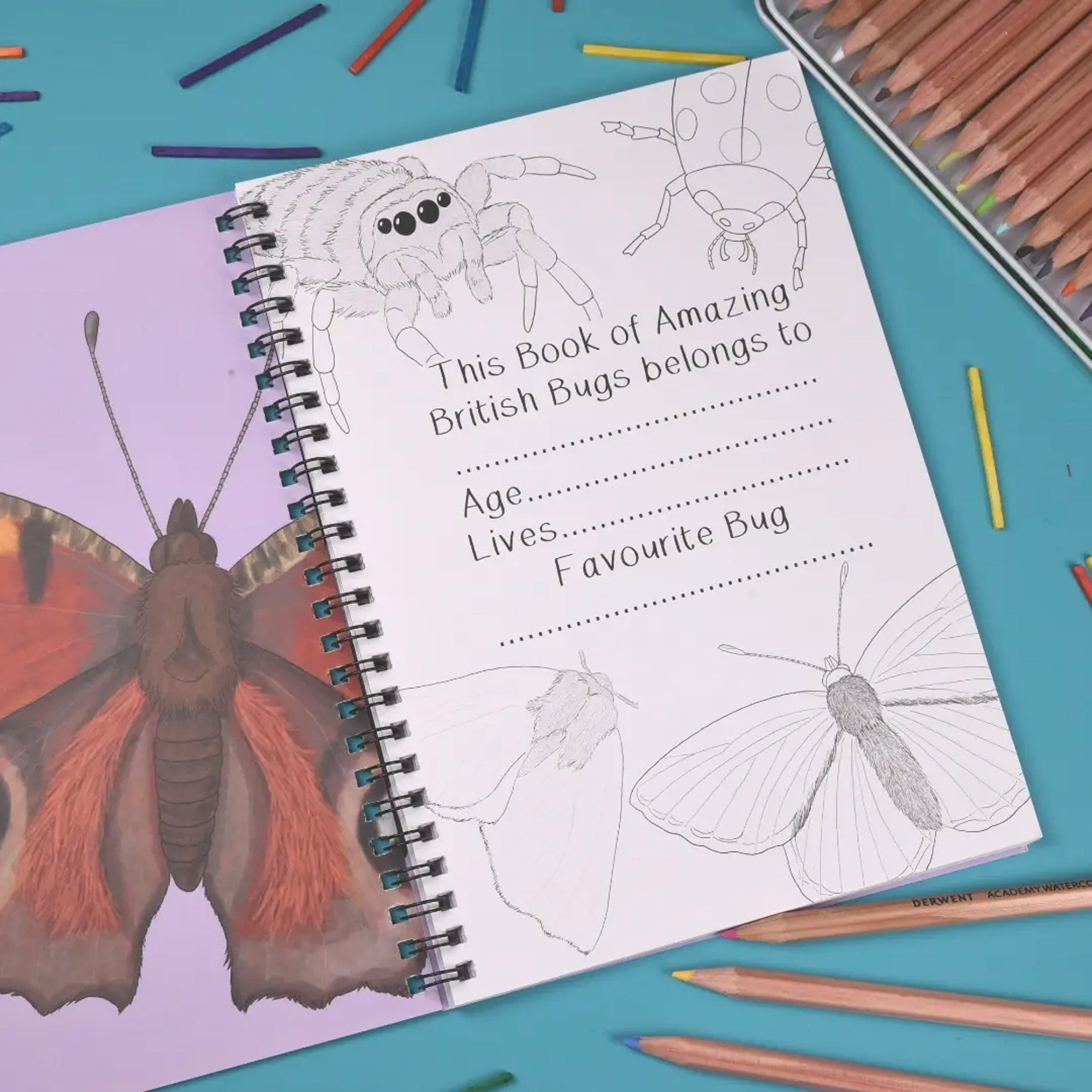 Activity Book-ABBFA - Amazing British Bugs Fact & Activity Book-Button & Squirt