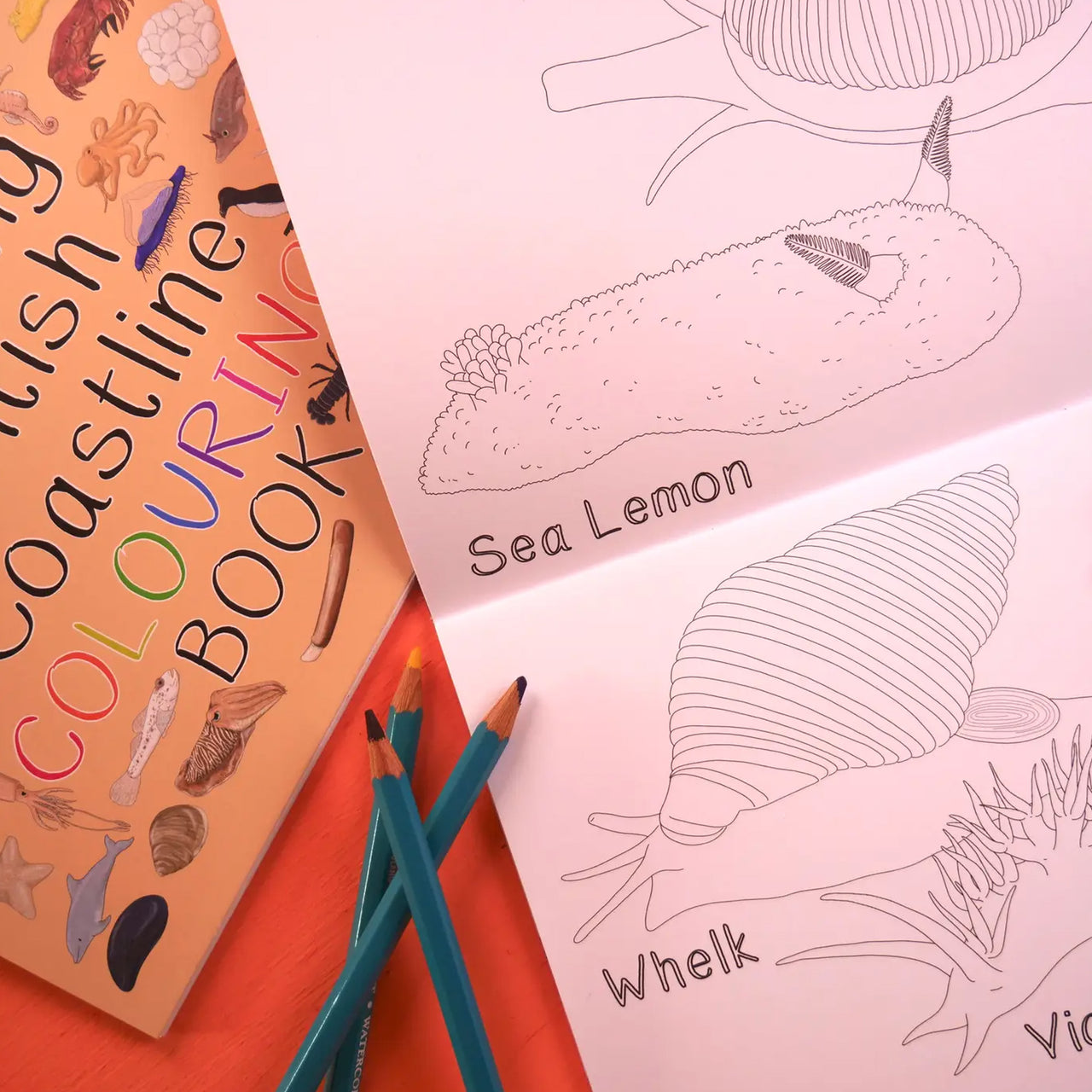 Colouring Book-Abccb - Amazing British Coastline Colouring Book-Button & Squirt