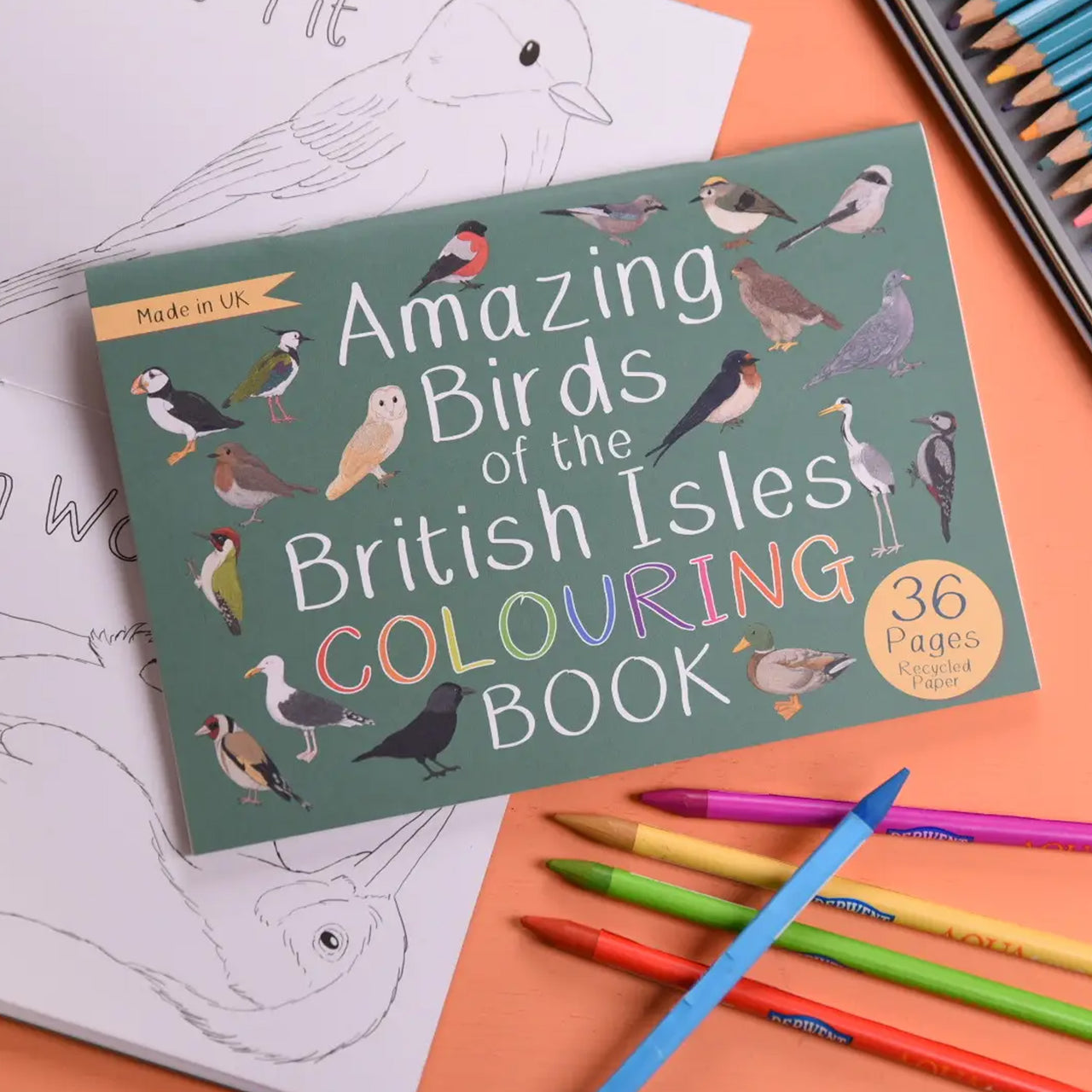 Colouring Book-Abobicb - British Isles Birds Colouring Book-Button & Squirt