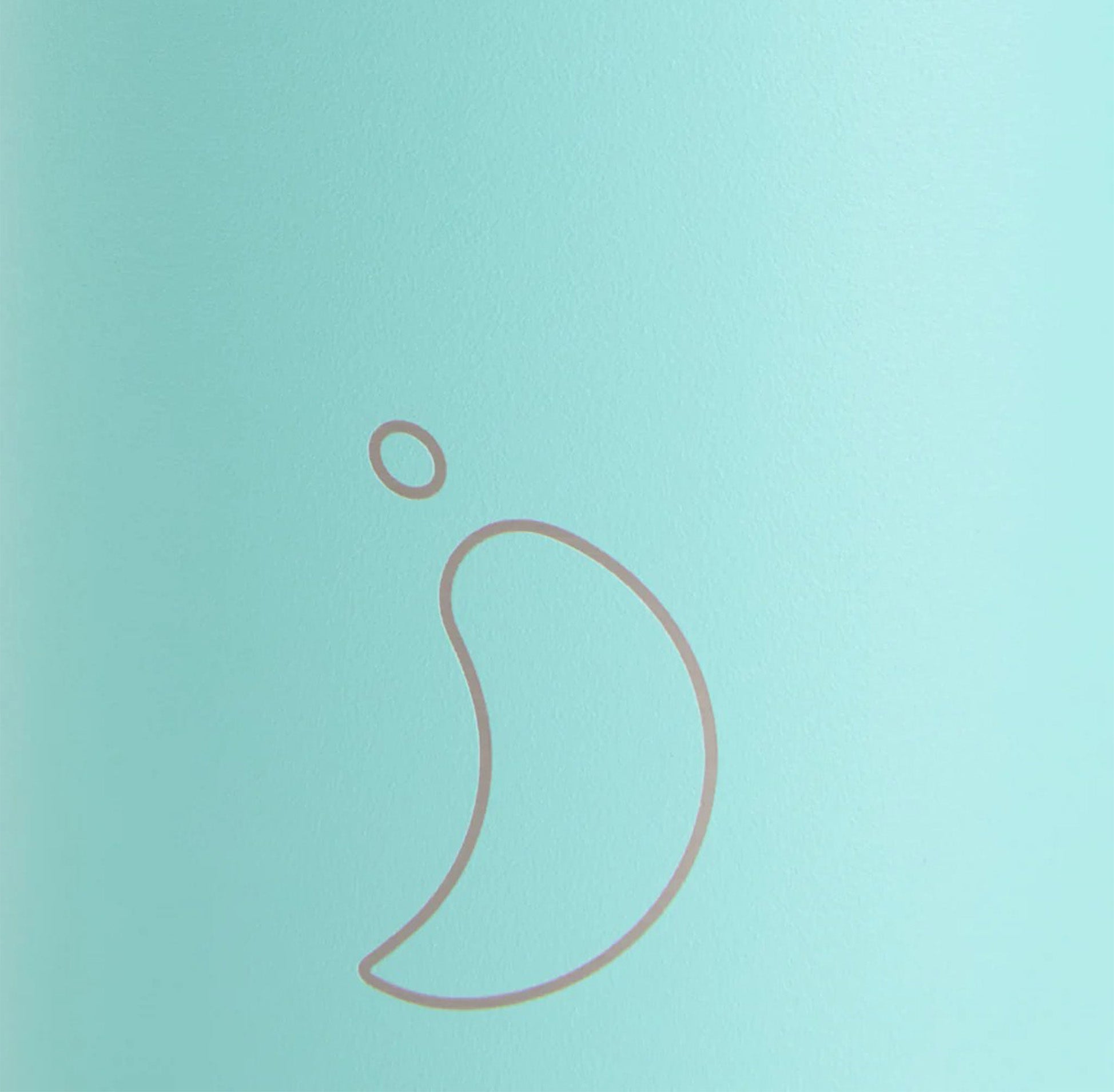 Water Bottle-B260PAAGR - Pastel Green Bottle 260ml-Chilly's
