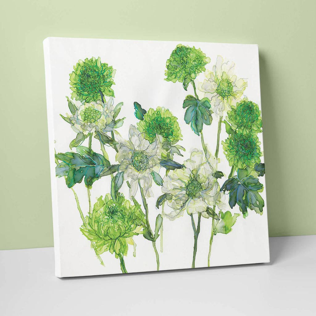 Canvas-JTC11 - White Scabious Canvas-Whistlefish