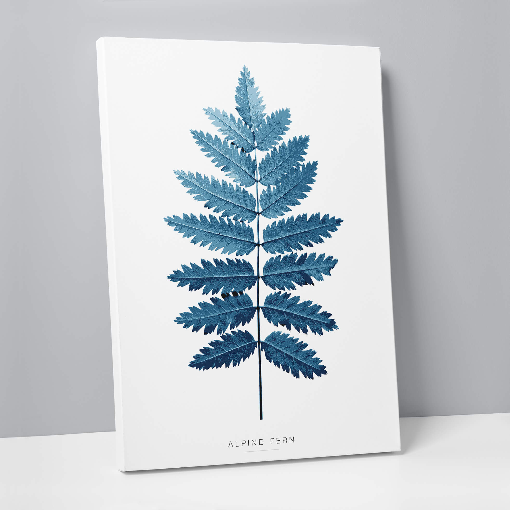 Alpine Fern Canvas - Whistlefish