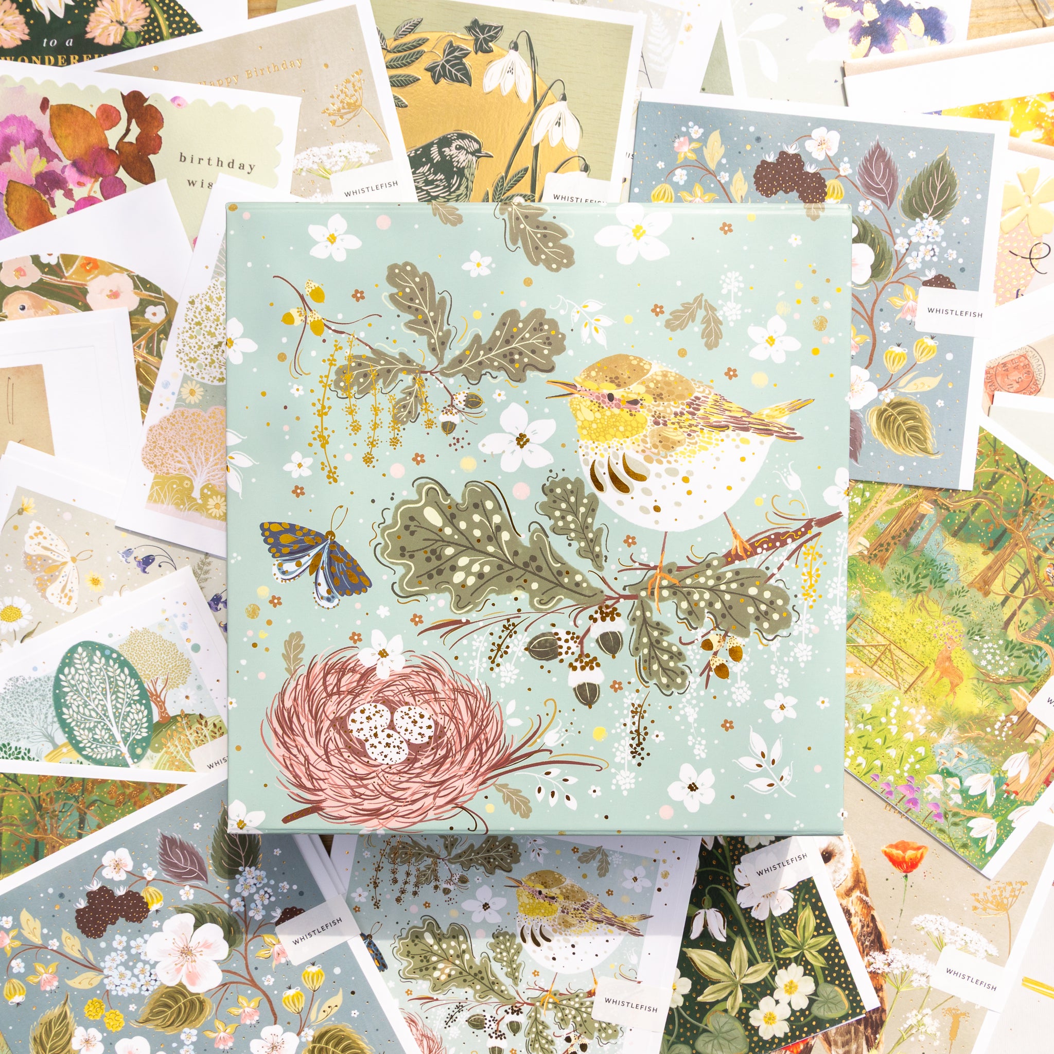 Card Gift Box-RF25MBXC - Celtic Rainforest Card Gift Box-Whistlefish