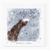 Christmas Card-XA261 - Horse & Robin Christmas Card-Whistlefish