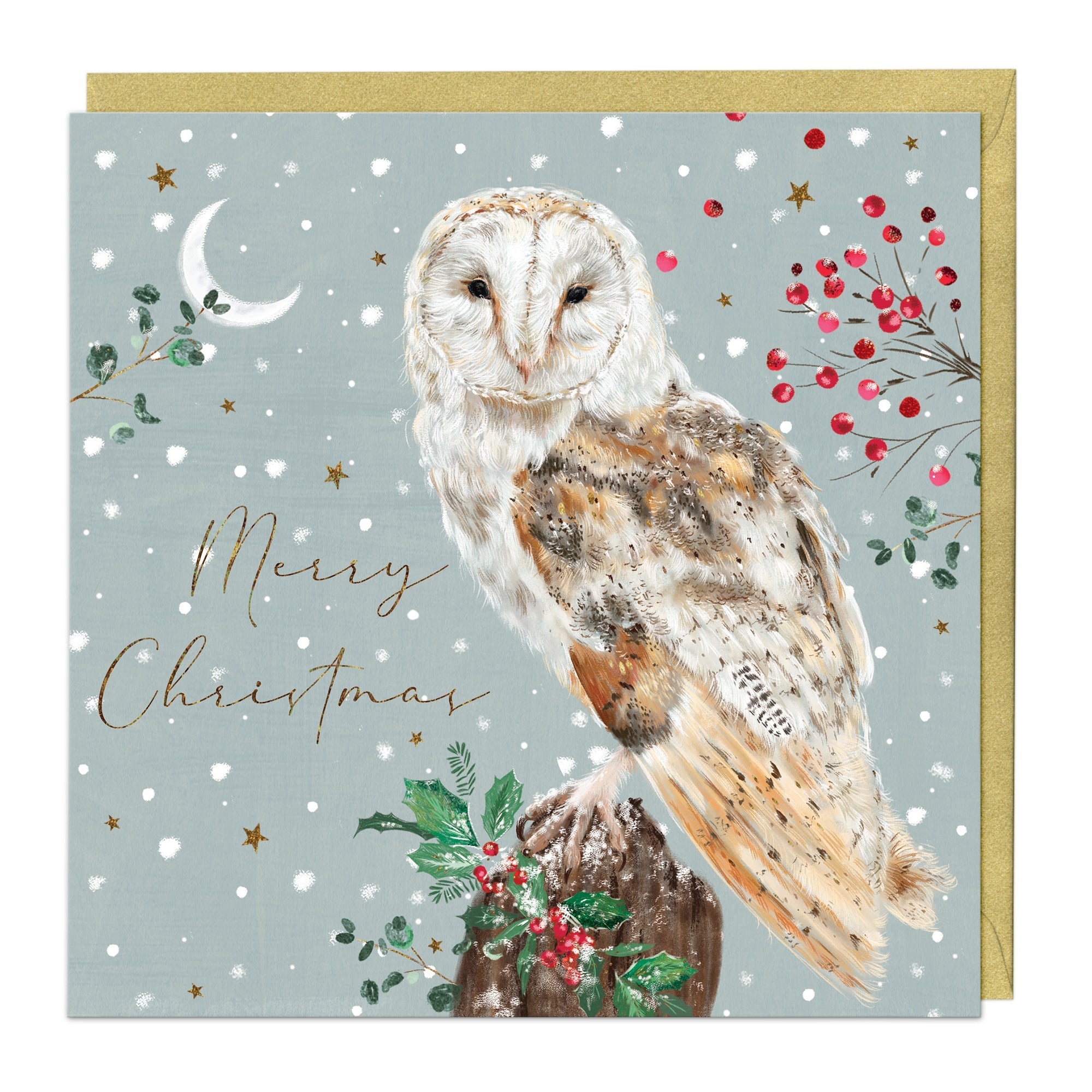 Brand New Christmas Owl buy & Friends Collection