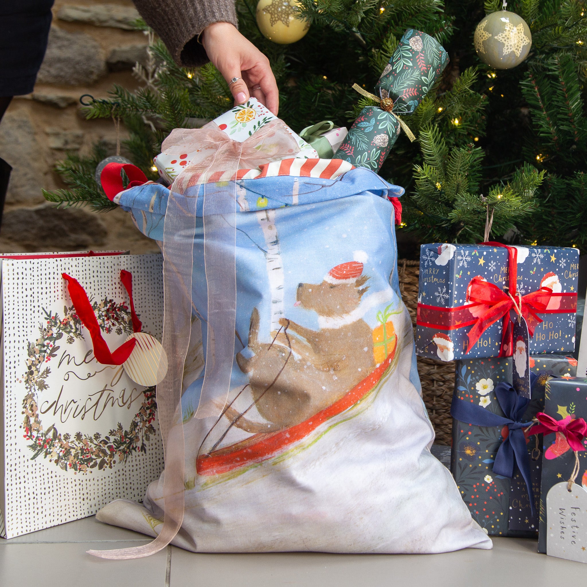 Christmas Sack-XM25SAC2 - Express Delivery Christmas Sack-Whistlefish