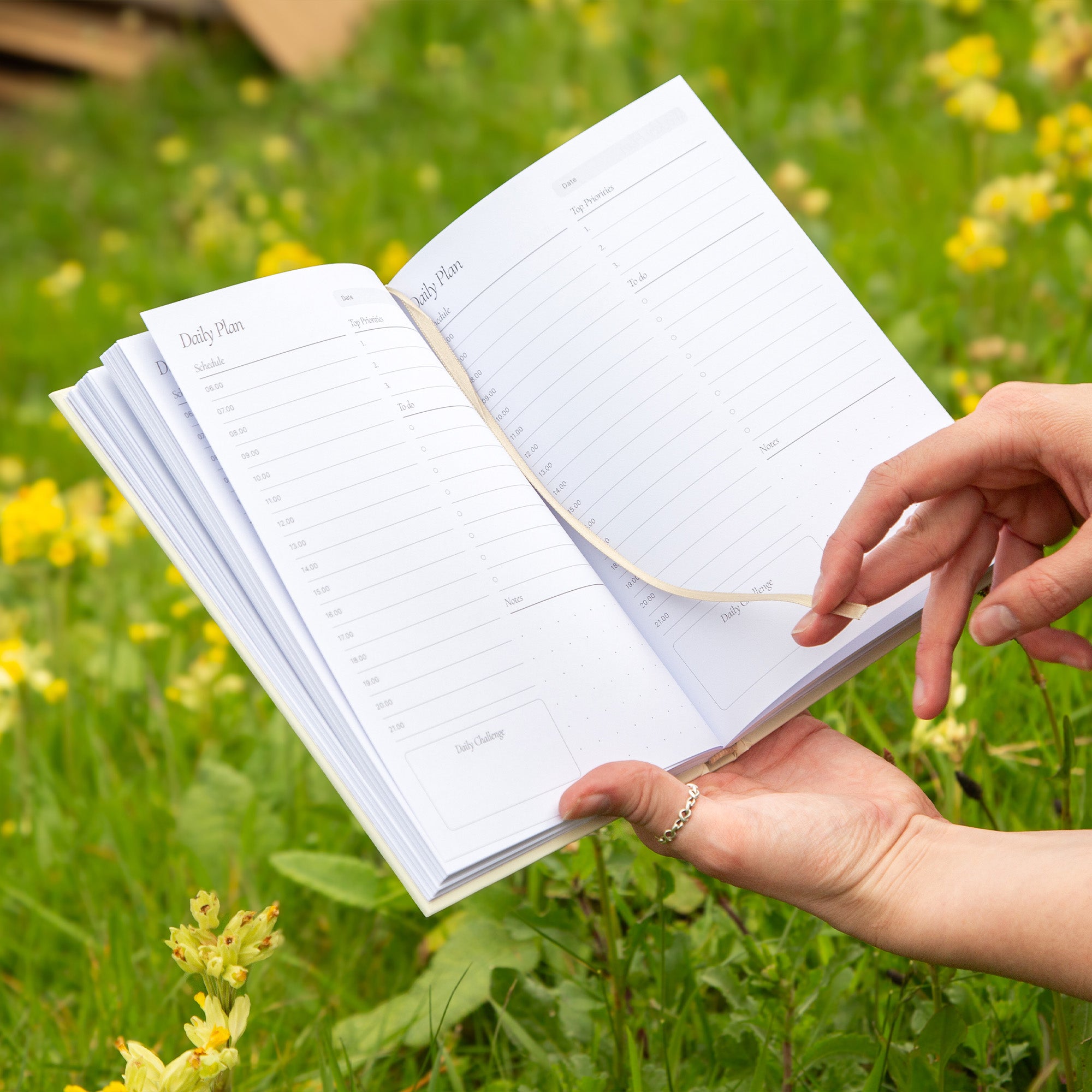 Daily Planner-DPL-DECK - Deck Chair Daily Planner-Yop & Tom
