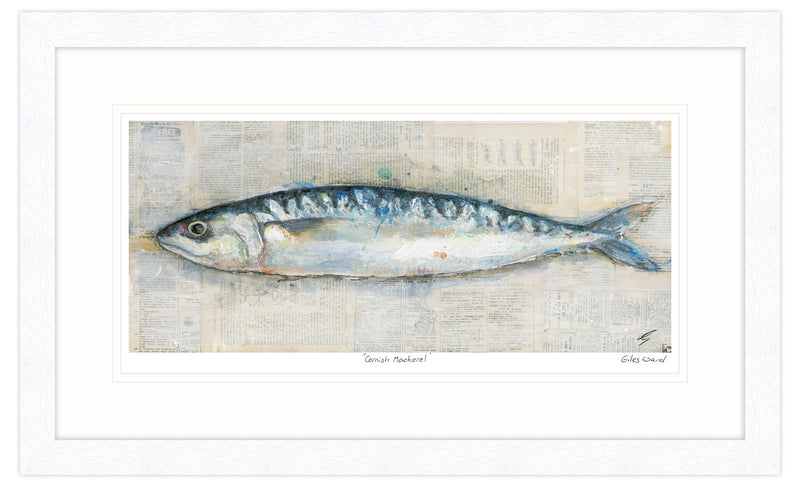 Framed Print-GW23F - Cornish Mackerel Framed Print-Whistlefish