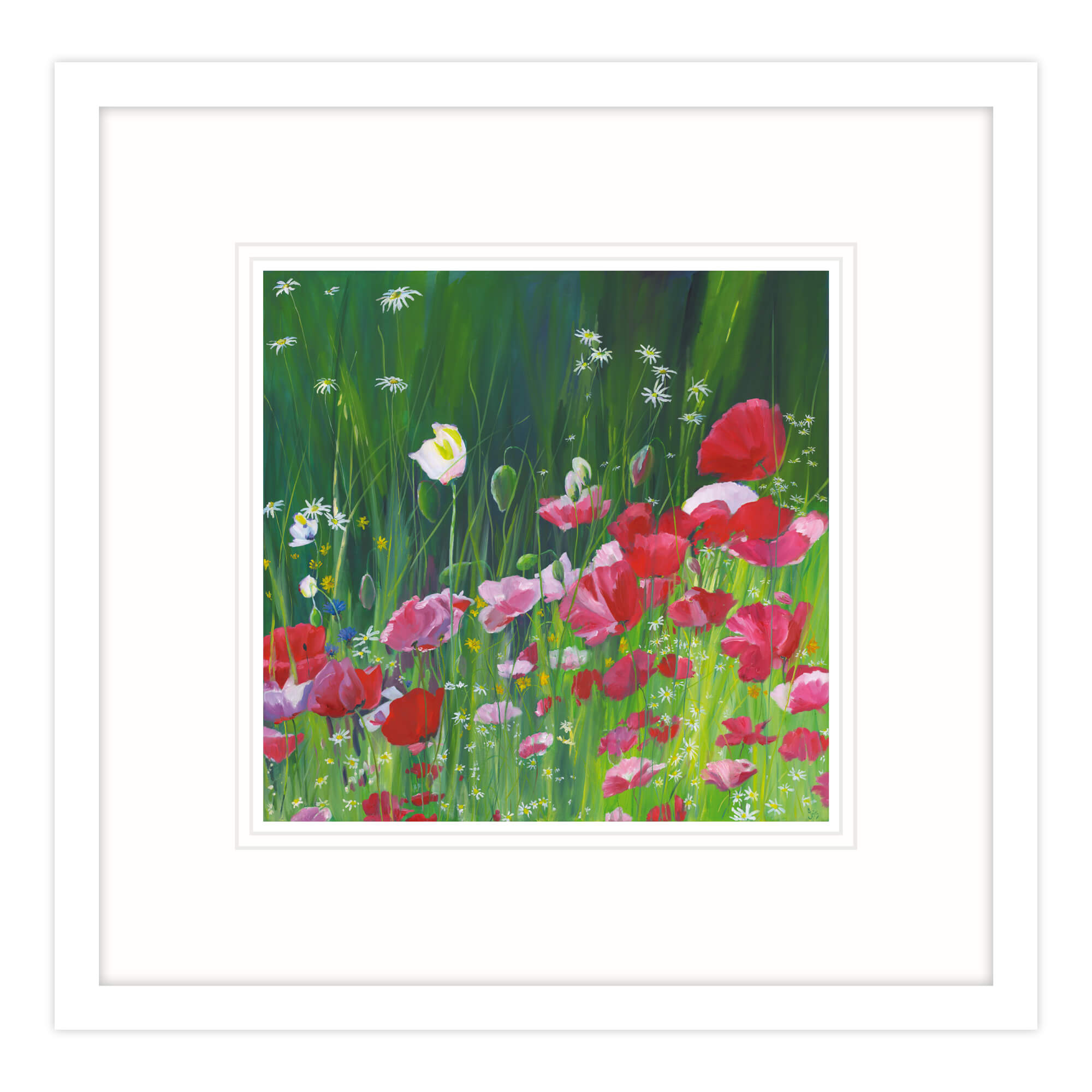 Framed Print-IC250F - Poppy Field Framed Print-Whistlefish