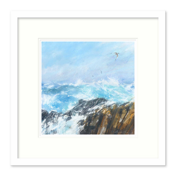 Framed Print-BART128F - Seabird over rocks-Whistlefish