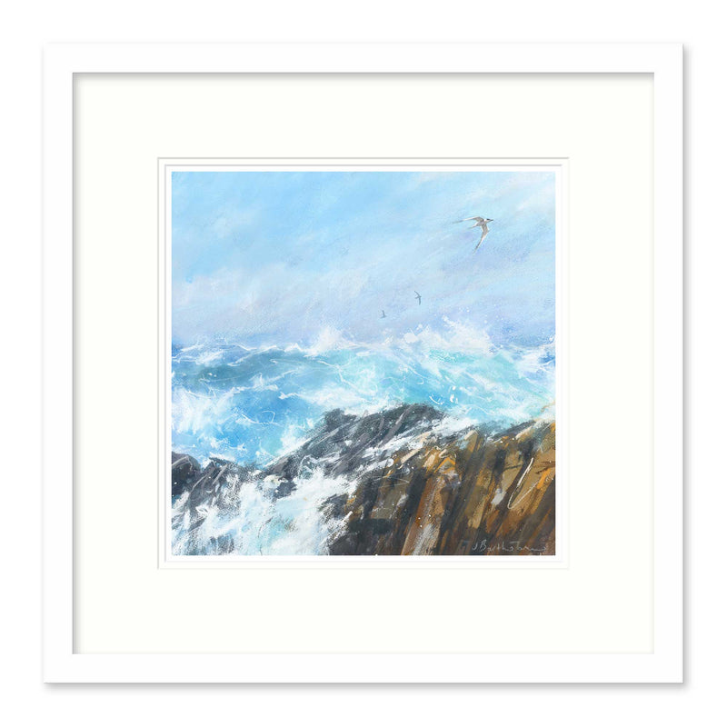 Framed Print-BART128F - Seabird over rocks-Whistlefish