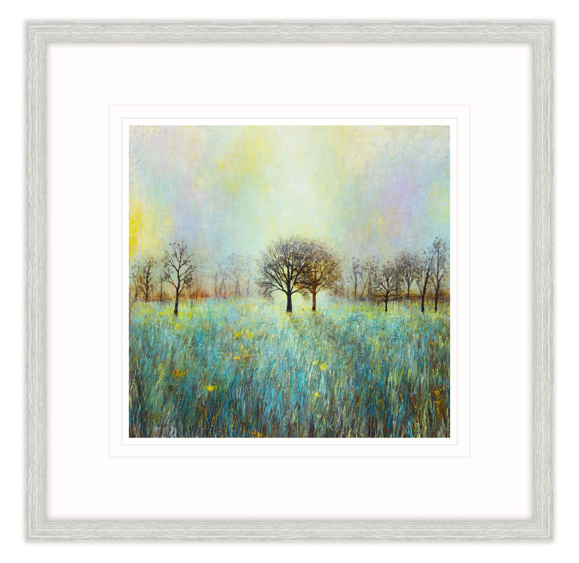Framed Print-JS24F - Evening Shadow Framed Print-Whistlefish