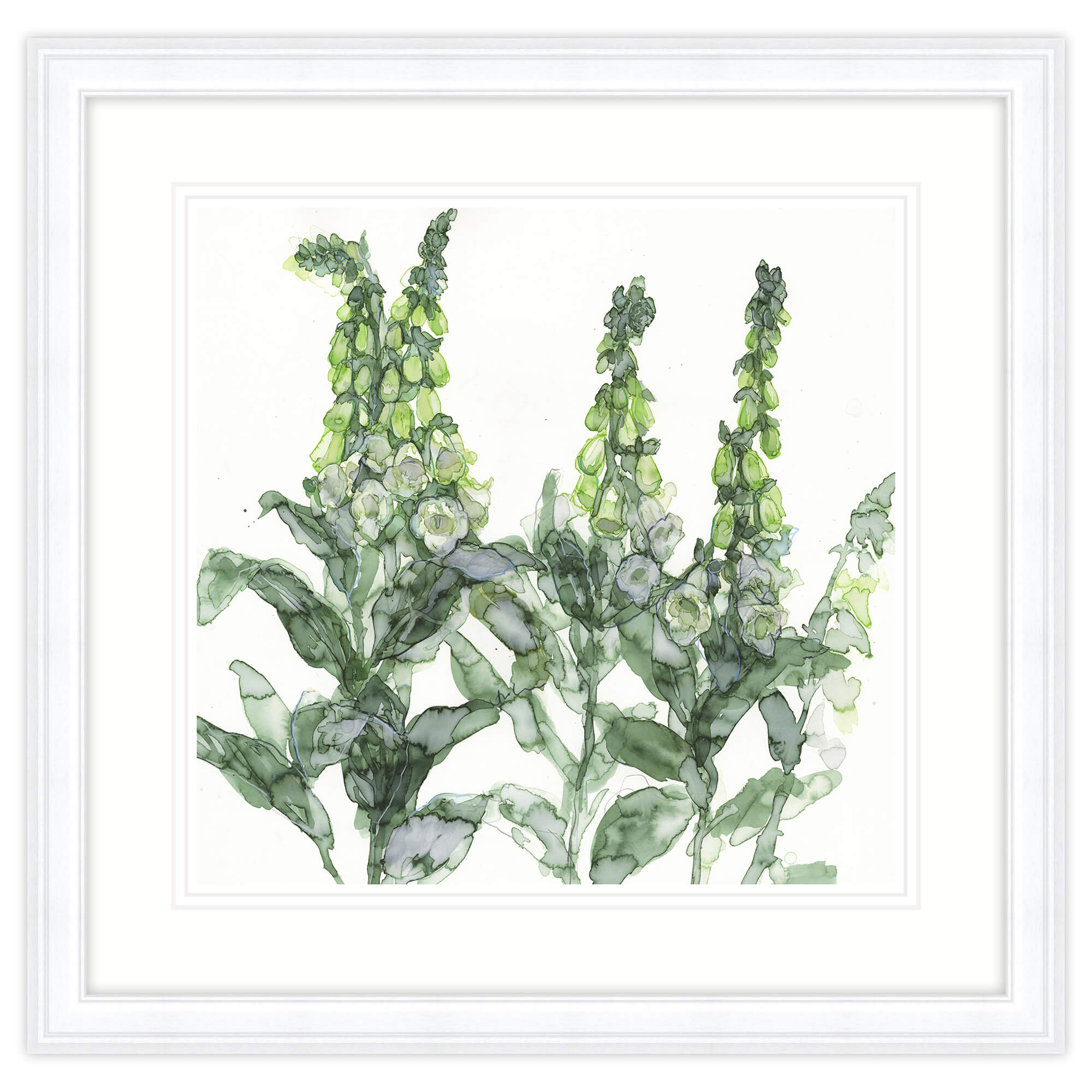 Framed Print-JT50F - White Foxgloves Framed Print-Whistlefish