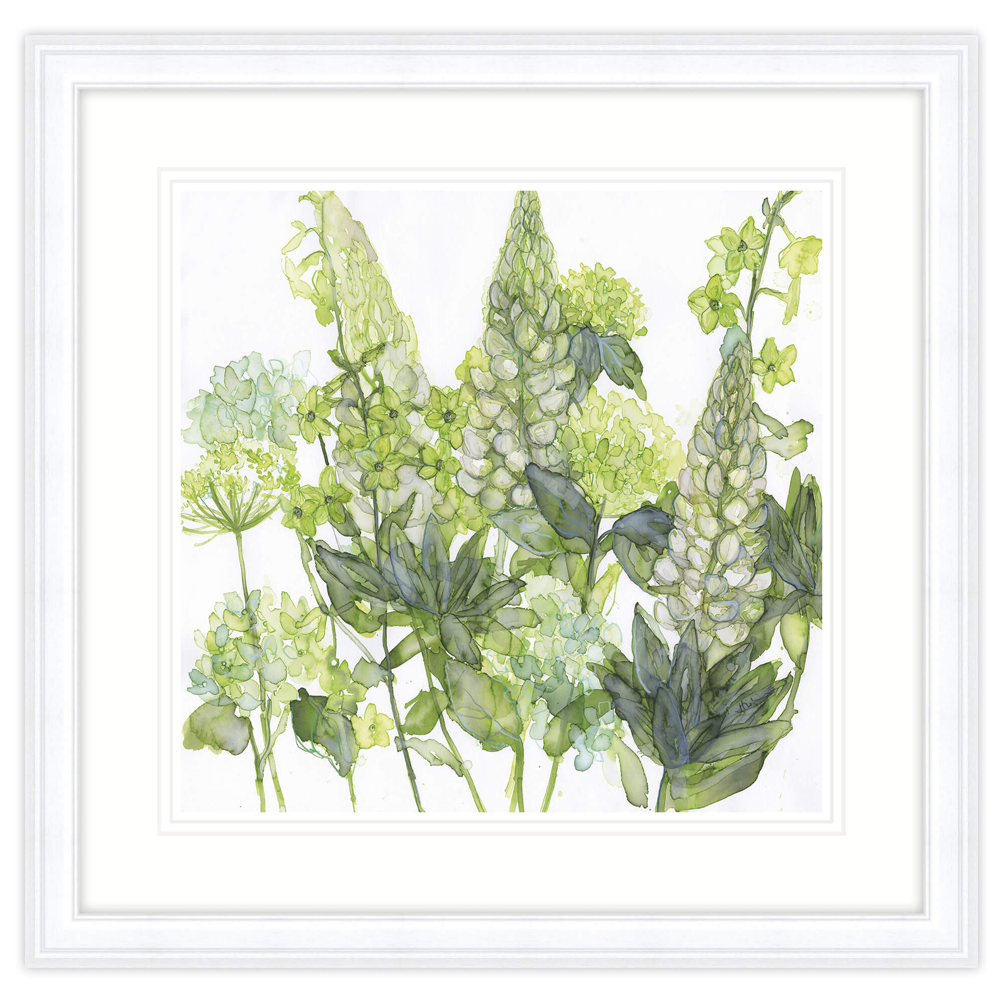 Framed Print-JT52F - Lupin Hydrangea & Nicotiria Framed Print-Whistlefish