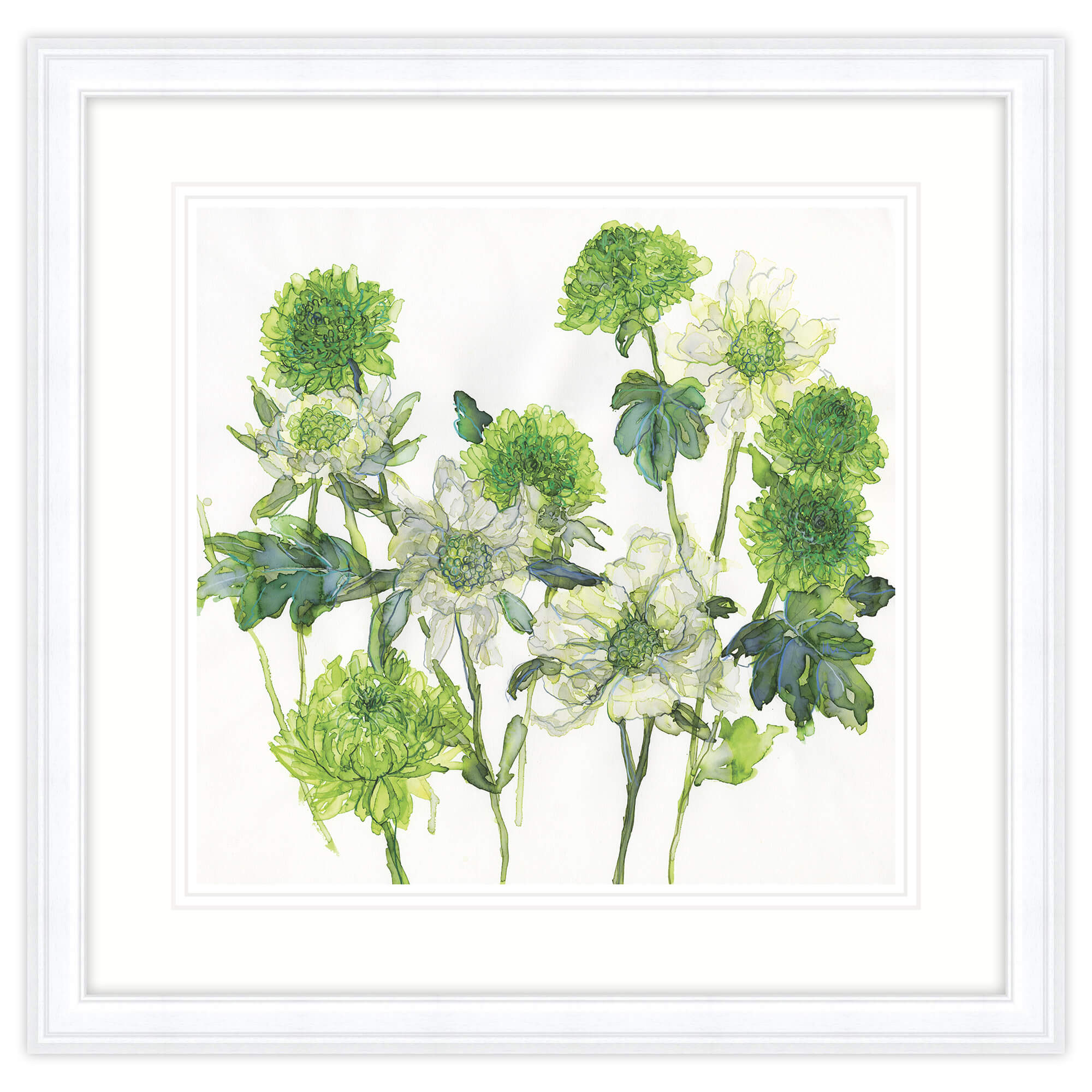 Framed Print-JT53F - Scabious & Chrysanthemum Framed Print-Whistlefish