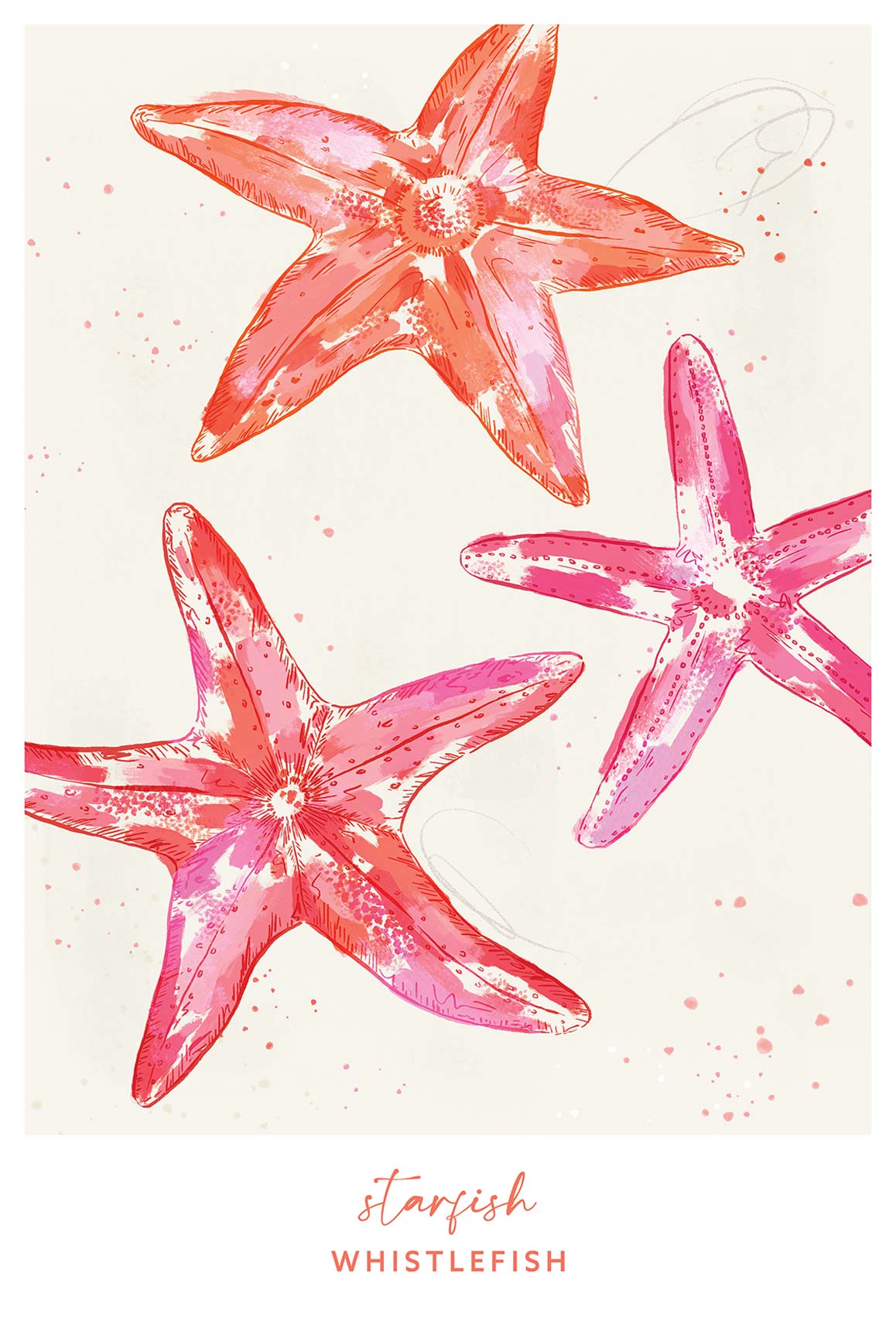 Framed Print-WF041291F - Starfish Large Framed Print-Whistlefish