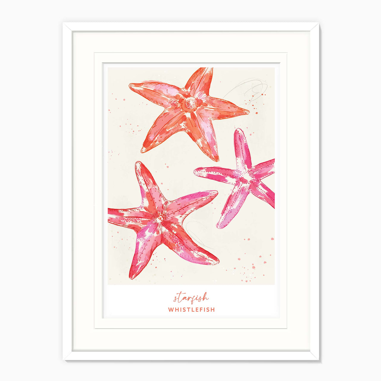 Framed Print-WF041291F - Starfish Large Framed Print-Whistlefish