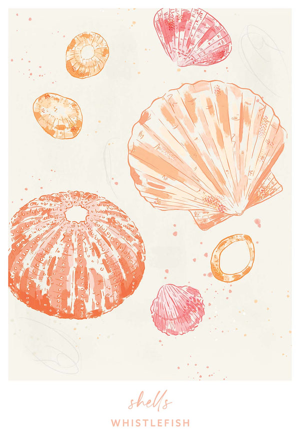 Print-WF041292P - Shells Large Art Print-Whistlefish