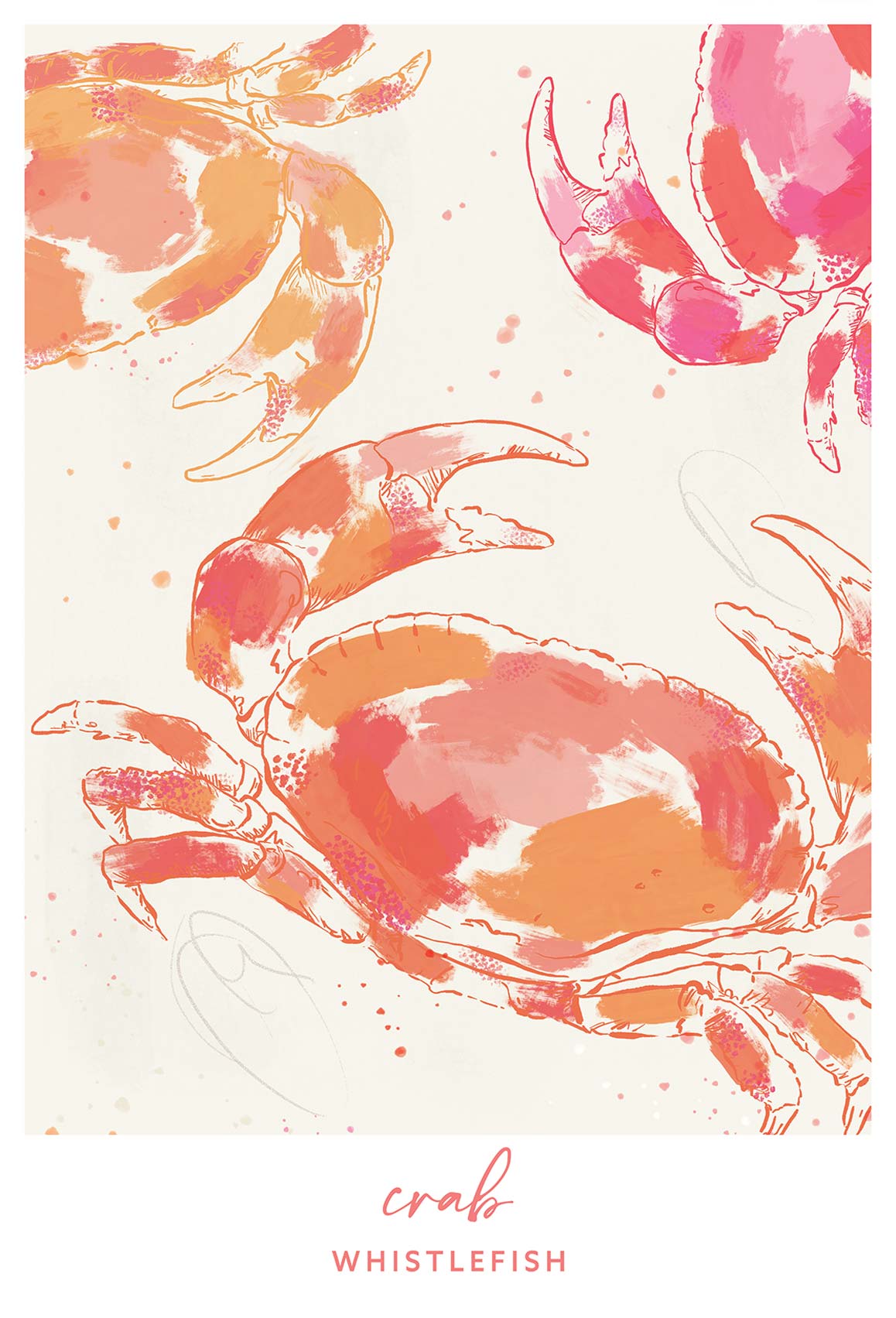 Framed Print-WF041295F - Crab Large Framed Print-Whistlefish