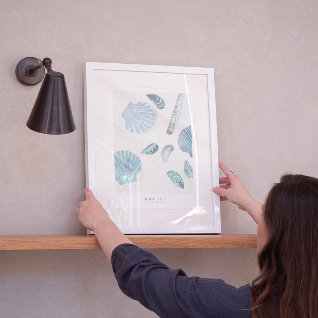 Framed Print-WF1030F - Seagrass Shells Small Framed Print-Whistlefish