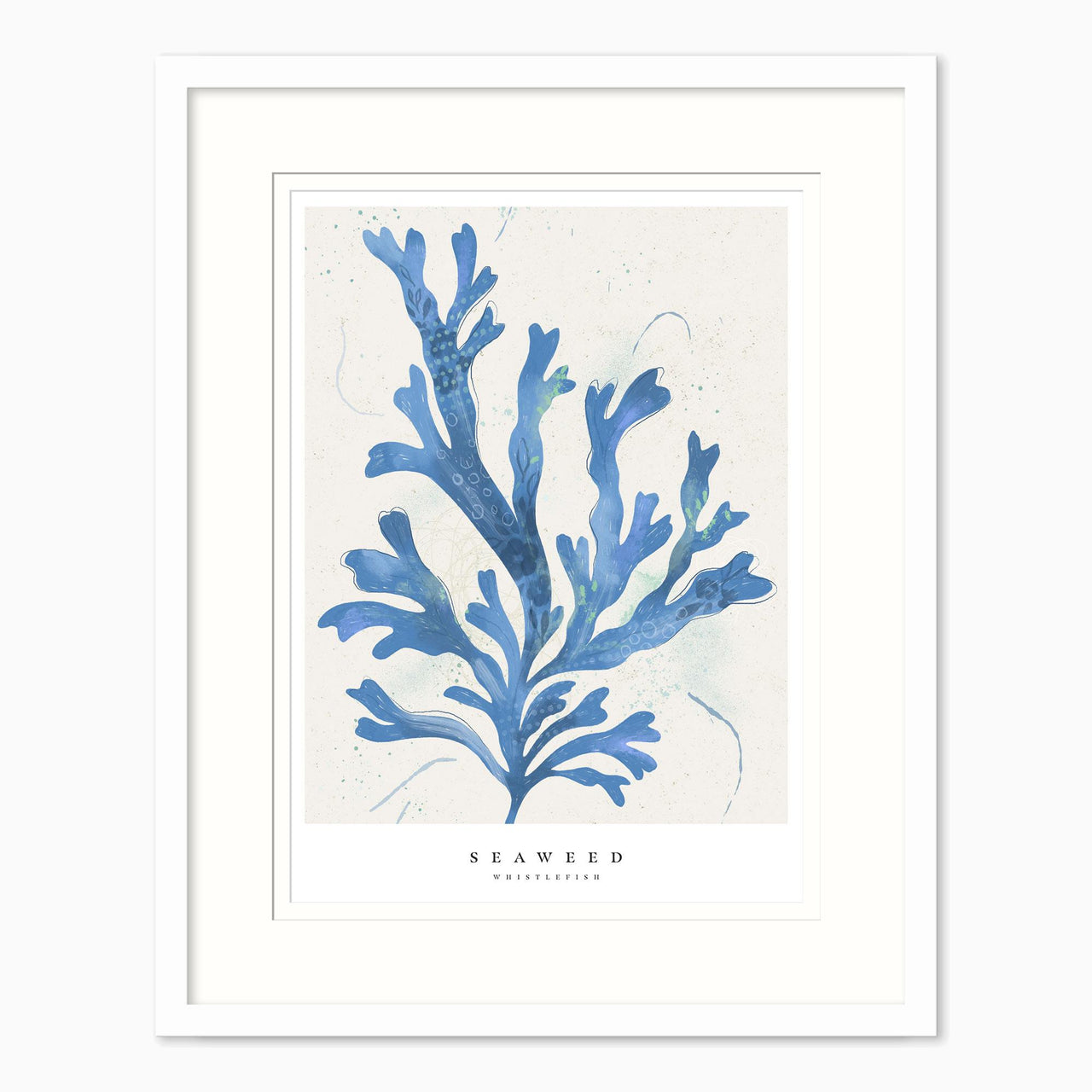 Framed Print-WF1032F - Seagrass Seaweed Small Framed Print-Whistlefish