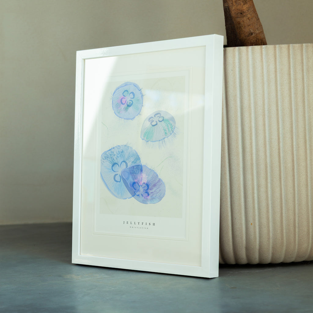 Framed Print-WF1034F - Seagrass Jellyfish Small Framed Print-Whistlefish