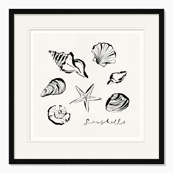 Framed Print-WF1100F - Shells Framed Print-Whistlefish