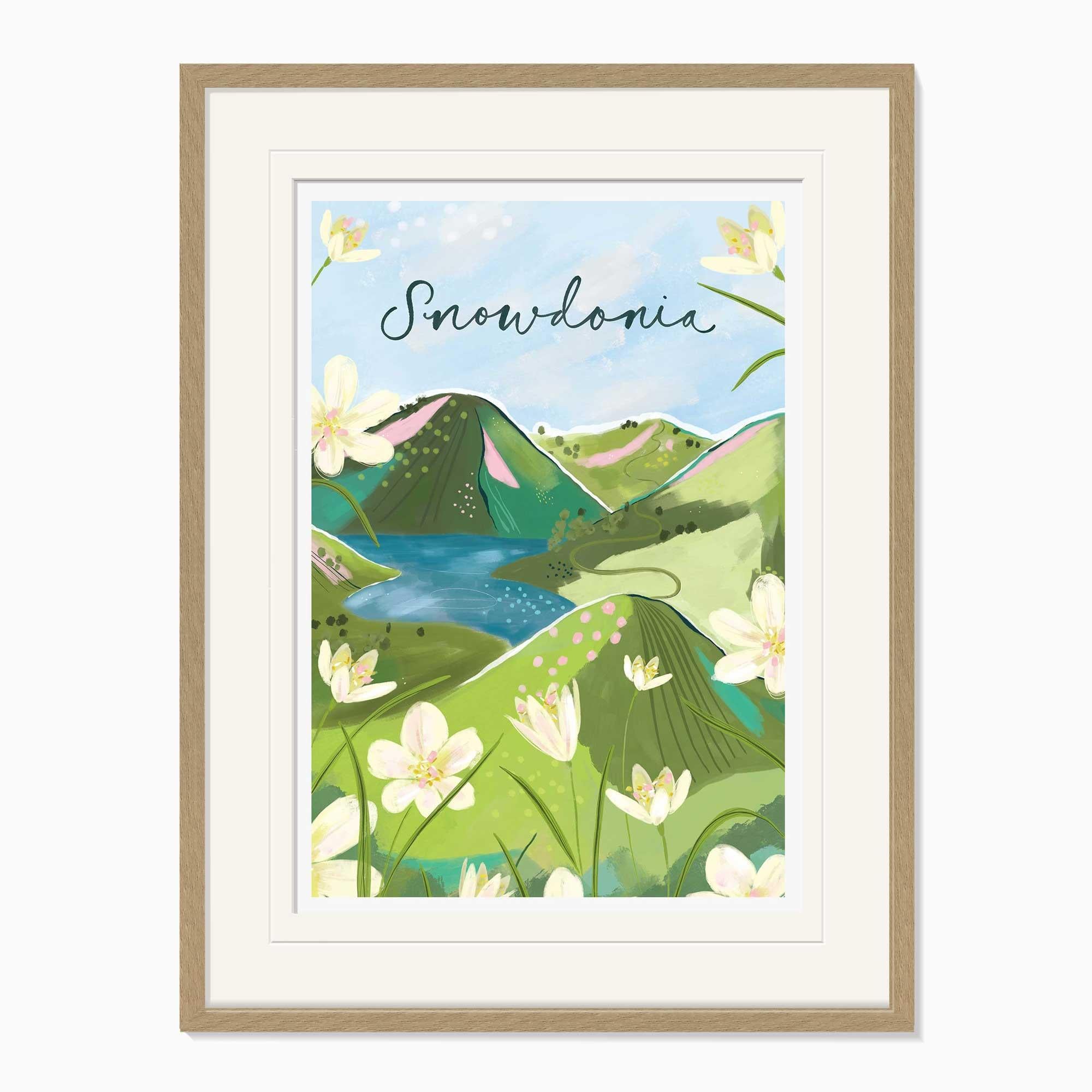 Framed Print-WF1132F - Snowdonia Large Framed Print-Whistlefish