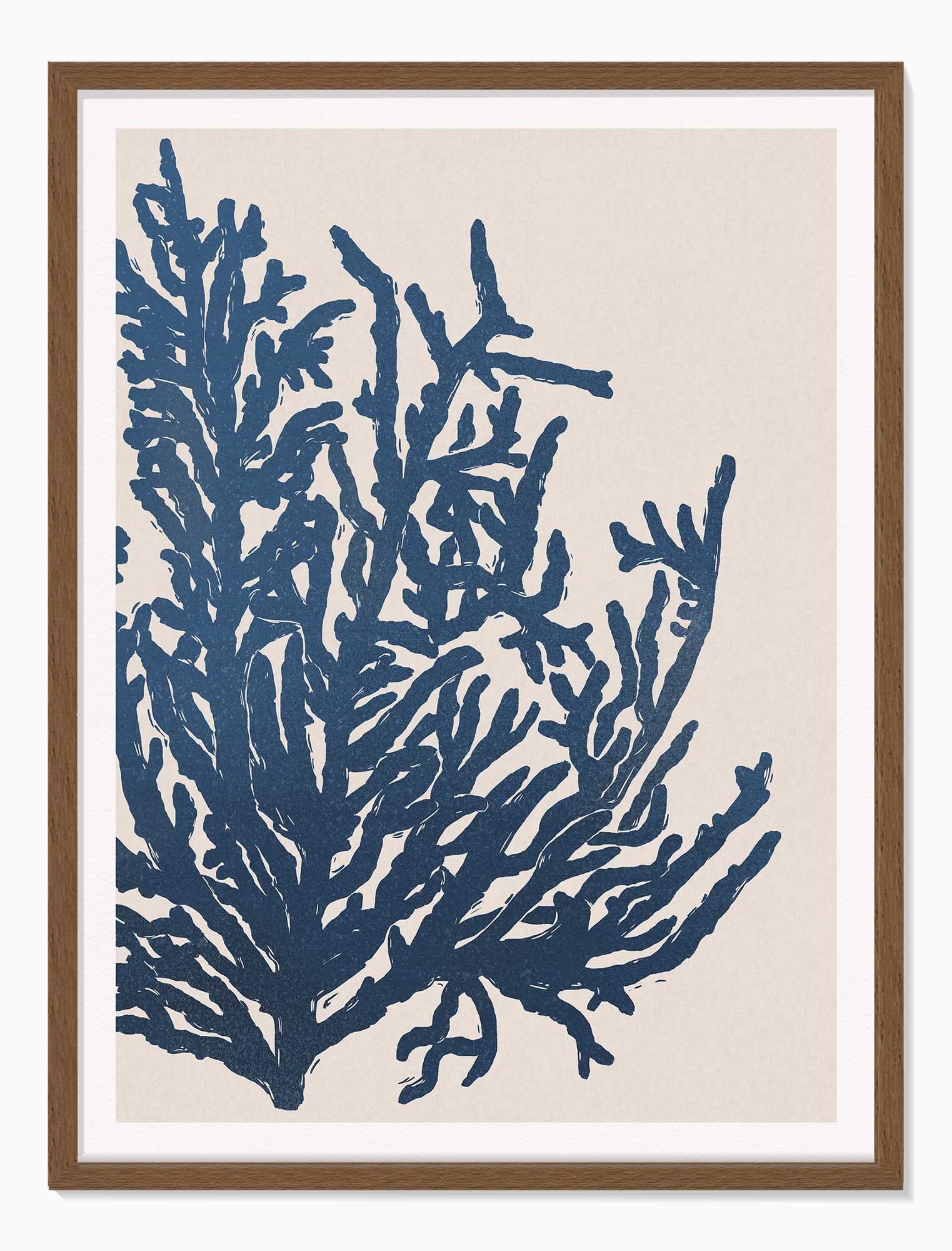 Framed Print-WF1197F - Seaweed Large Framed Print-Whistlefish