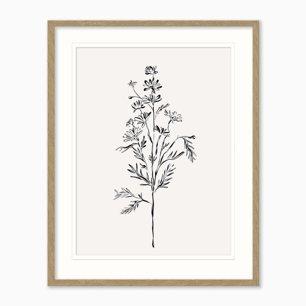 Framed Print-WF1207F - Elegant Floral Framed Print-Whistlefish