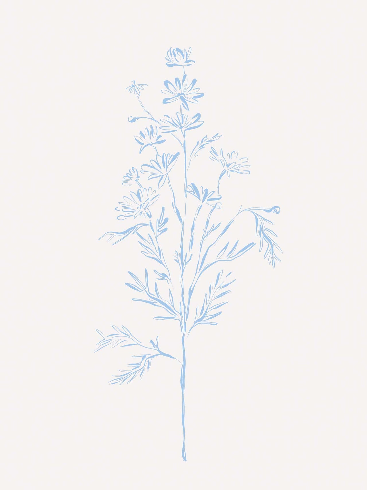 Framed Print-WF1208F - Wildflower Stem Framed Print-Whistlefish