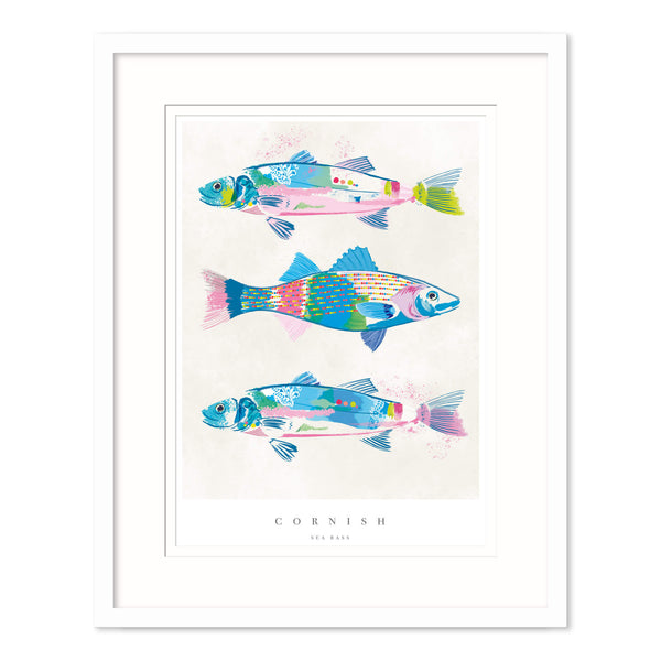 Framed Print-WF718F - Cornish Sea Bass Medium Framed Print-Whistlefish