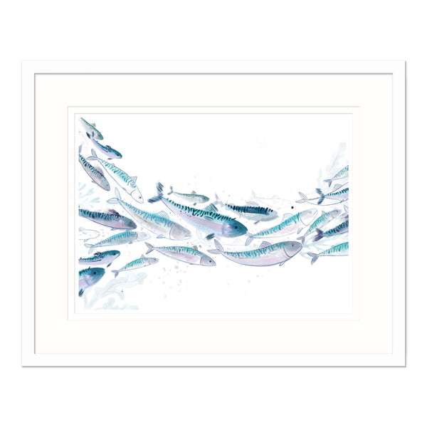 Framed Print-WF805F - Mackerel Shoal-Whistlefish