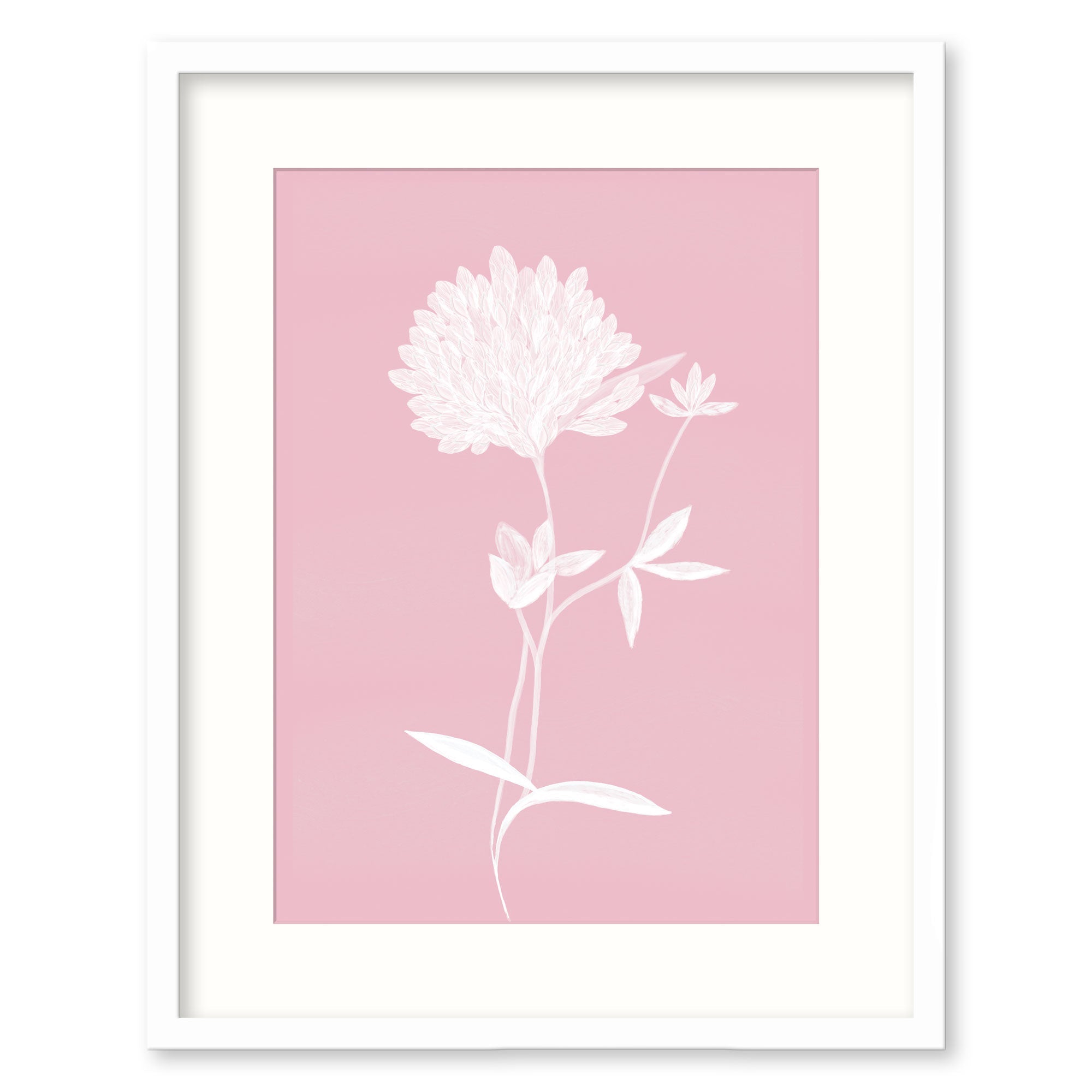 Framed Print-WF918F - Pink Clover Small Framed Print-Whistlefish