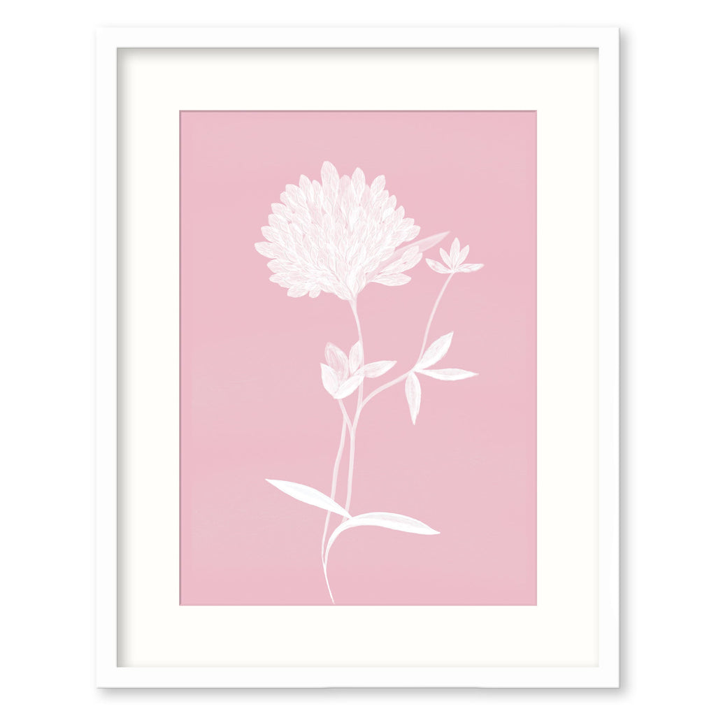 Framed Print-WF918F - Pink Clover Small Framed Print-Whistlefish