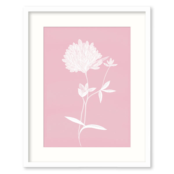 Framed Print-WF918F - Pink Clover Small Framed Print-Whistlefish