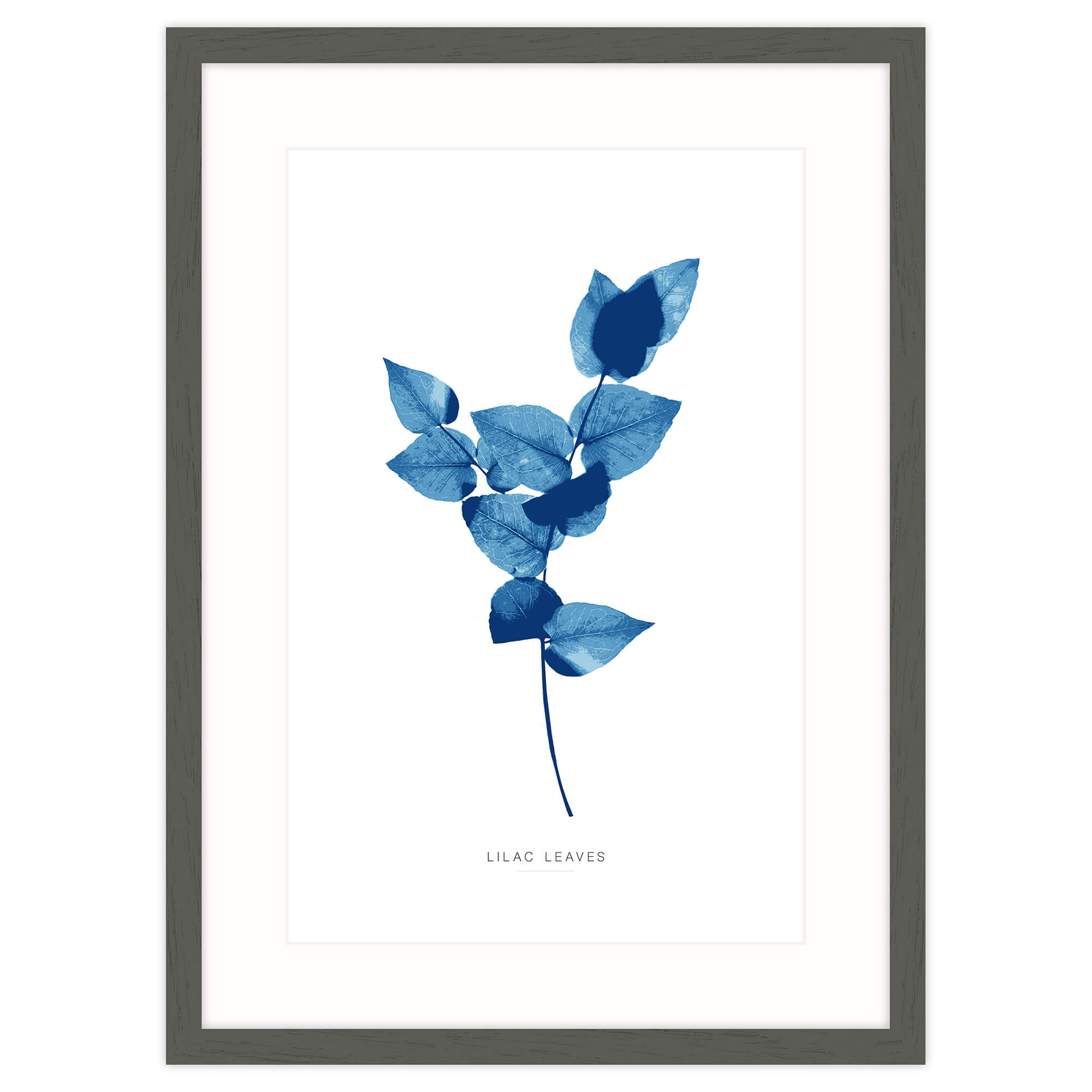 Framed Print-WT101F - Lilac Leaves Framed Print-Whistlefish