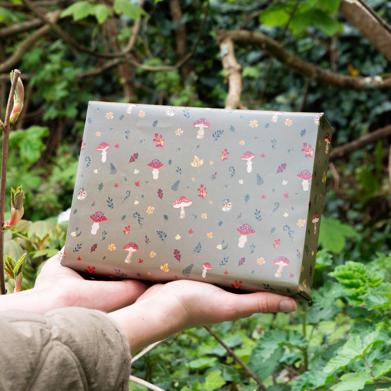 Wrapping Paper-GWP135 - Wild Mushrooms Wrapping Paper-Whistlefish